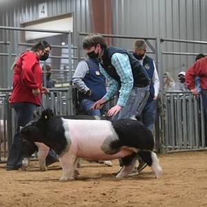 Meet your Posher, Logan